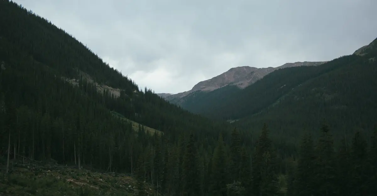 Naturreisen 🌲
